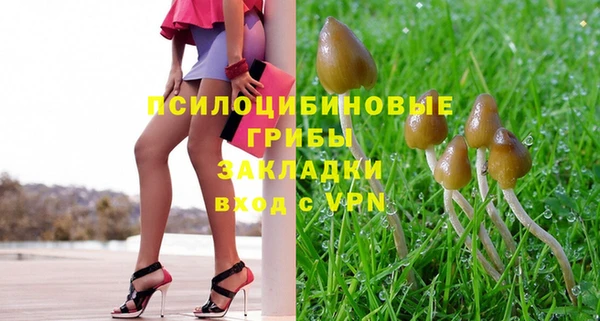а пвп мука Нея